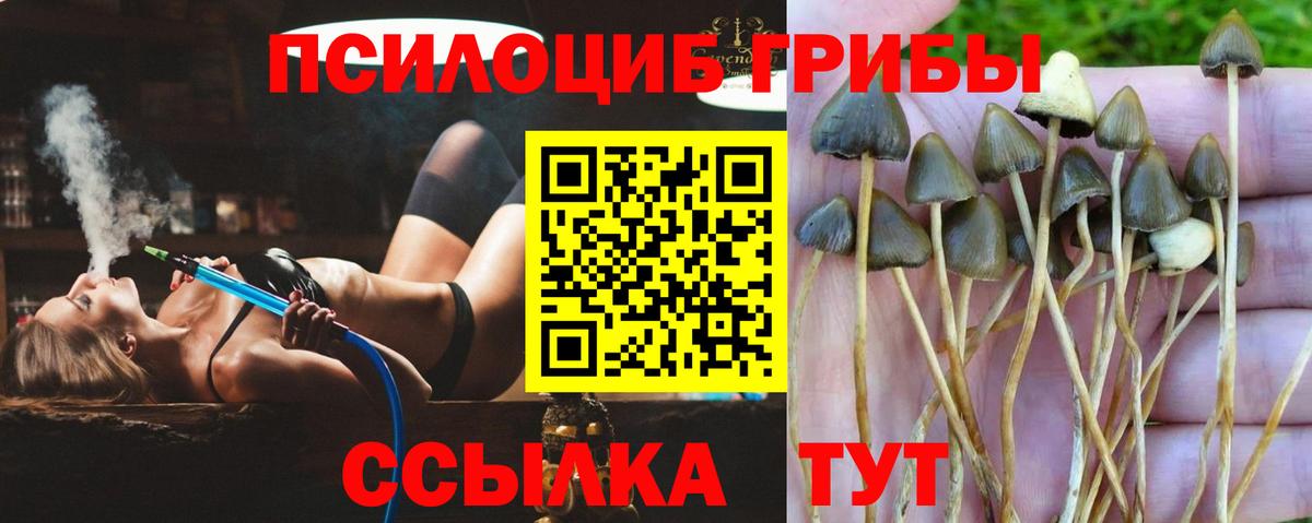 Галлюциногенные грибы мицелий  Вход с VPN  Кимры 